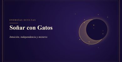 Soñar con Gatos - Intuición, independencia y misterio